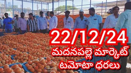 22-12-24 Madanapalle Tomato Market price Today || Today Tomato Market Rate in Madanapalle #today