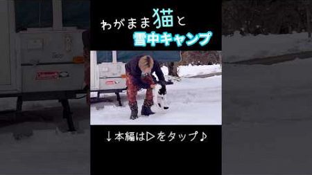 猫と雪中キャンプ！動く家の中で快適ぬくぬくキャンプ！【平瀬温泉キャンプ場】