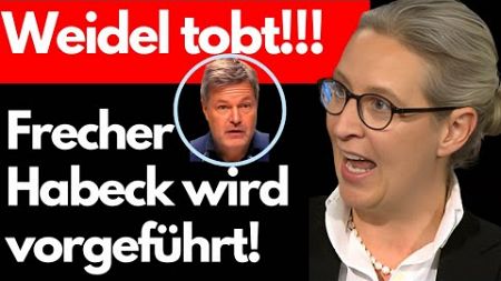 SKANDAL! DAMIT BEENDET WEIDEL HABECKS KANZLERKANDIDATUR💥