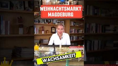 ❌AFD ÜBER WEIHNACHTSMARKT❌ #afd #politik #Weidel #Bundestag #aliceweidel #alternativefürdeutschland