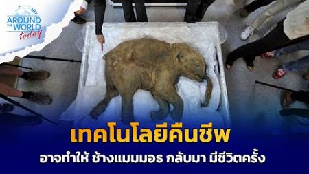 เทคโนโลยีคืนชีพอาจทำให้ ช้างแมมมอธ กลับมา มีชีวิต