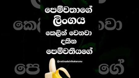 පෙම්වතියට එවලෙට මොනවා හිතෙනවා ඇද්ද 😍 #shorts #education #facts