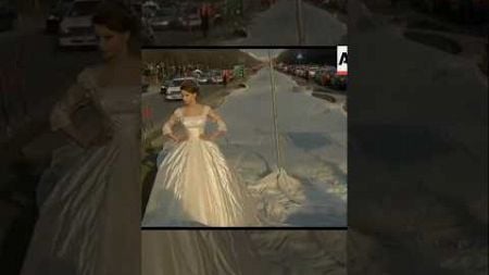 Longest Wedding Dress | World Record | #facts #funfacts #worldrecord