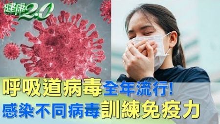 呼吸道病毒全年流行！ 感染不同病毒訓練免疫力 健康2.0 @tvbshealth20