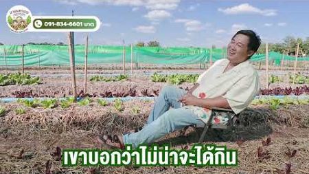 ผลผลิตเกษตรธรรมชาติ ช่องทางการขายมีที่ไหนบ้าง ?