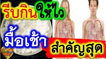 &quot;มื้อเช้า&quot; สำคัญสุด👉10 อาหาร มื้อเช้า &quot;จำเป็น สำคัญ&quot; มากสุด ควรกินทุกวัน สุขภาพ ดีเยี่ยม