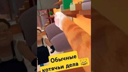 Обычные котячьи дела 😸 #iamcat #vr #game #catsimulator #catgame