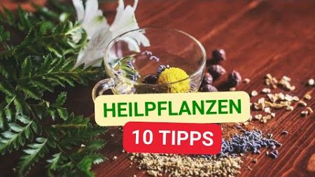 Heilpflanzen: 10 Tipps für natürliche Gesundheit &amp; Wohlbefinden