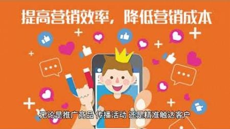 WhatsApp分流链接 + 拓客大师：精准营销必备神器！