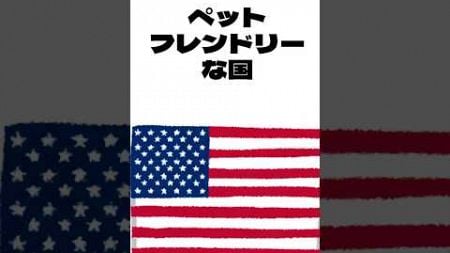 「犬に関する豆知識】ペットフレンドリーな国