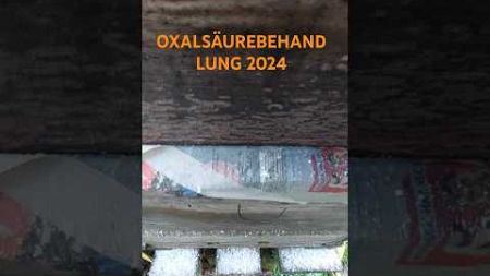 OXALSÄUREBEHANDLUNG 2024. #bee #beekeeper #honey #Healthy #gesund #Gesundheit #bienen #Honig #APIs