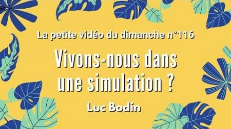 VIVONS-NOUS DANS UNE SIMULATION ? - La petite vidéo du dimanche n°116