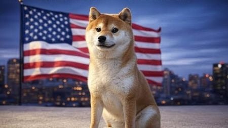 狗狗币与人类货币体系的关系分析报告！货币体系的基本框架！DOGECOIN加密货币的崛起，开放性与无国界！DOGE对传统货币的补充与协作！去中心化与货币主权的冲突！