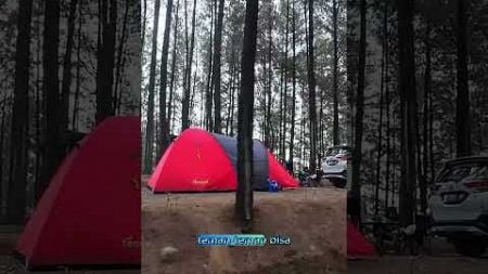 tips reservasi campground di ALAS SUKO Trawas #camping #campingfamily #campingground #campingvlog