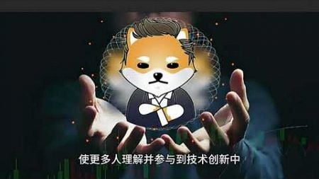 狗狗币与人类技术文明的发展关系分析报告！DOGECOIN去中心化技术的崛起！技术与文化的深度融合！货币形态的进化与技术支持！技术民主化与狗狗币的贡献！支付体系的补充与优化！