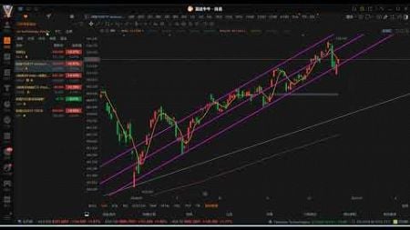 2024-12-24 美股技术分析 英伟达 特斯拉