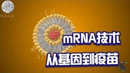 mRNA技术的奥秘：它是什么，它能做什么，它将带来什么？