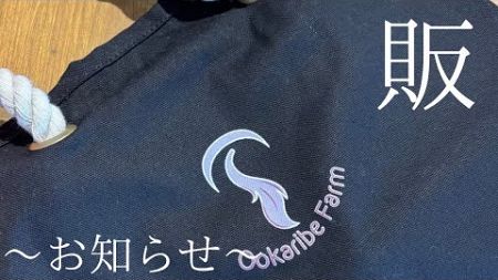 【12/23 夕方より販売開始】　マリントートバッグ（S）☘️☘️（概要欄に目を通してください。）