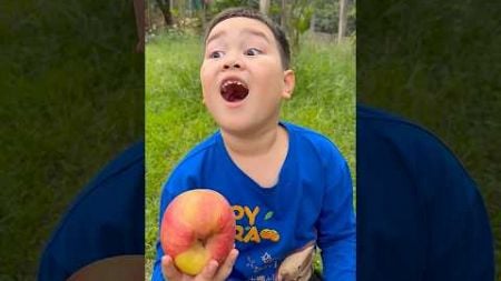 Cậu bé tốt bụng Gỡ bỏ nhãn dán Apple #camping #apple #lifehacks #outdoors 🍏😫🤔😁#shorts