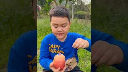 Cậu bé tốt bụng Gỡ bỏ nhãn dán Apple 🍎🍏#camping#apple#lifehacks#outdoors