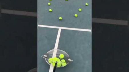 Tennis Practice Just Got Easier: Ball Collector in Action #smalleyes #quickflip #backflip #treflip