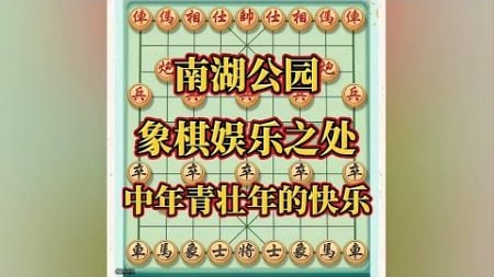 南湖公园，象棋娱乐之处，中年青壮年的快乐#喜欢象棋关注我 #中国象棋开局技巧 #象棋思路与技巧 #象棋布局