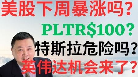 美股939|美股下周暴涨吗?PLTR能到100吗?特斯拉危险了吗?英伟达机会来了吗?圣诞新年贺礼! #tsla #nvda #pltr #美股分析 #drmikeinvest #stocks #ai