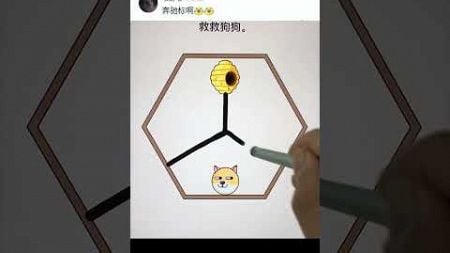 喵喵游戏体验官的抖音 抖音 2024 12 23T211918 186