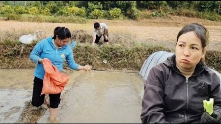 The greediest and laziest mother-in-law on earth. The couple sowed summer rice