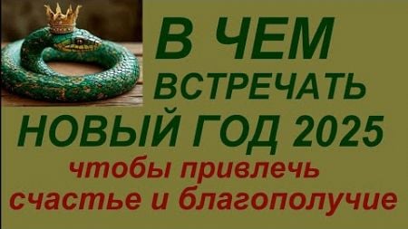 В чём встречать Новый Год 2025 , чтобы привлечь счастье и благополучие.