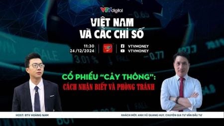 VIỆT NAM VÀ CÁC CHỈ SỐ 24/12/24: CỔ PHIẾU &quot;CÂY THÔNG&quot;: CÁCH NHẬN BIẾT VÀ PHÒNG TRÁNH