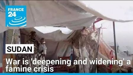 Sudan&#39;s war is &#39;deepening and widening&#39; a famine crisis • FRANCE 24 English