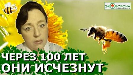 🦋Насекомым осталось 100 лет - ученые #экология