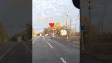 #Любовь#Вера#shortsvideo#домашниепитомцы