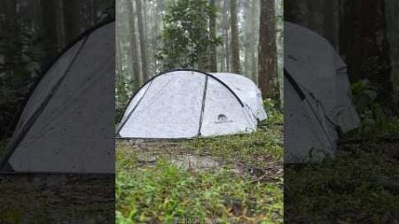 SOLO CAMPING IN HEAVY RAIN #shorts