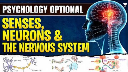 [Psychology Optional] Biology Behind Psychology | Neurons, Senses, &amp; the Nervous System