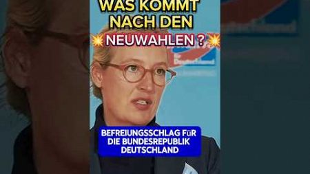 💥 KOMMT das Nächste DESASTER ?💥#afd #merz #scholz #spd #politik #cdu #weidel #habeck #neuwahl