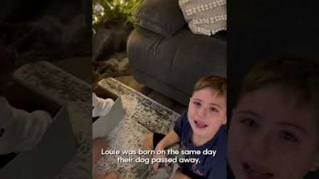 Children Get Christmas Surprise Of A Lifetime! - A New Puppy!