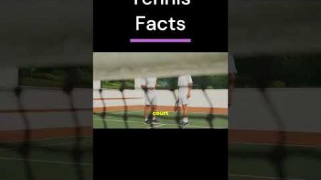 🏆🎾 Relive the most epic battle in tennis history! #facts #facebook #video #shorts #tennis #sports