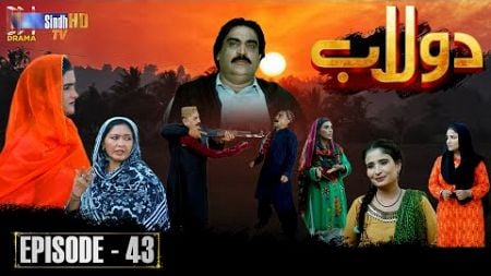 Dolaab | Episode 43 | Soap Serial | SindhTVHD Drama