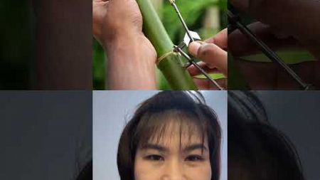 Bamboo craft of new slingshots #bamboo #shortvideo