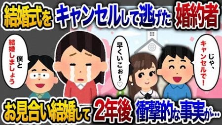 【2chスカッと人気動画まとめ】「婚約者に結婚式をキャンセルされた私→お見合いで結婚し2年後…驚きの展開が待っていた【2chスカッと・ゆっくり解説】【作業用】【睡眠用】【総集編】