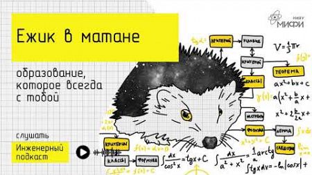 Ежик в матане: образование, которое всегда с тобой
