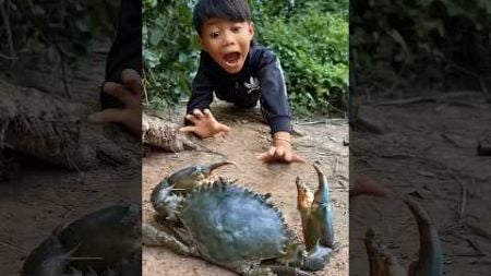 Survival Skills: Big crabs mommy i found a crab #bushcraft #camping #outdoors