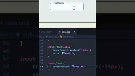 Focus on input in css #css #frontend