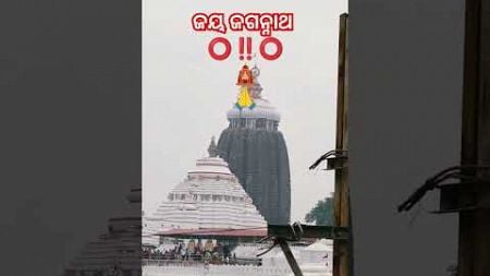 ଜୟ ଜଗନ୍ନାଥ ମନ୍ଦିର ⭕‼️⭕🛕🙏🚩 Mo Blogging Odisha YouTube channel subscriber live