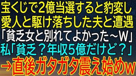 【感動★総集編】宝くじで2億円当選した夫が豹変！愛人と駆け落ちした瞬間、私が明かした驚愕の年収...？【感動する話】