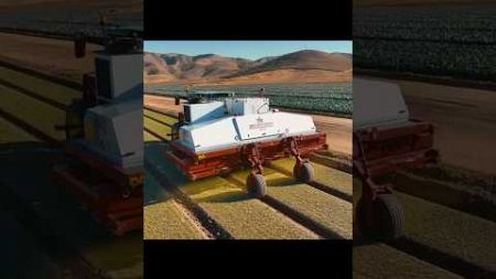 Smart Farming with High-Tech Technology