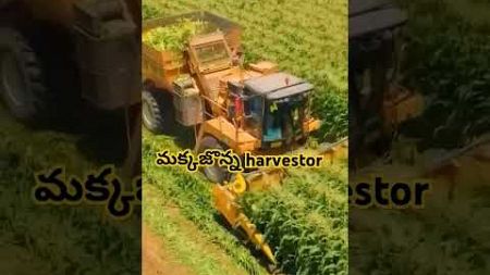 మక్కా జొన్న హార్వెస్టర్ machiene 👌#shorts #farming #agriculture #harvestor #technology #machine 👌🙏