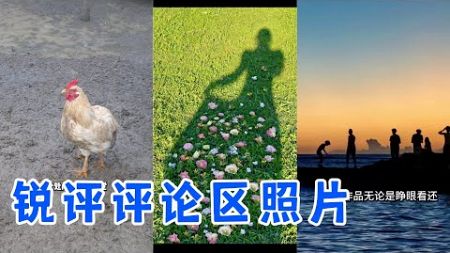 【合集】评论区摄影作品点评，最温柔的一期，放心食用